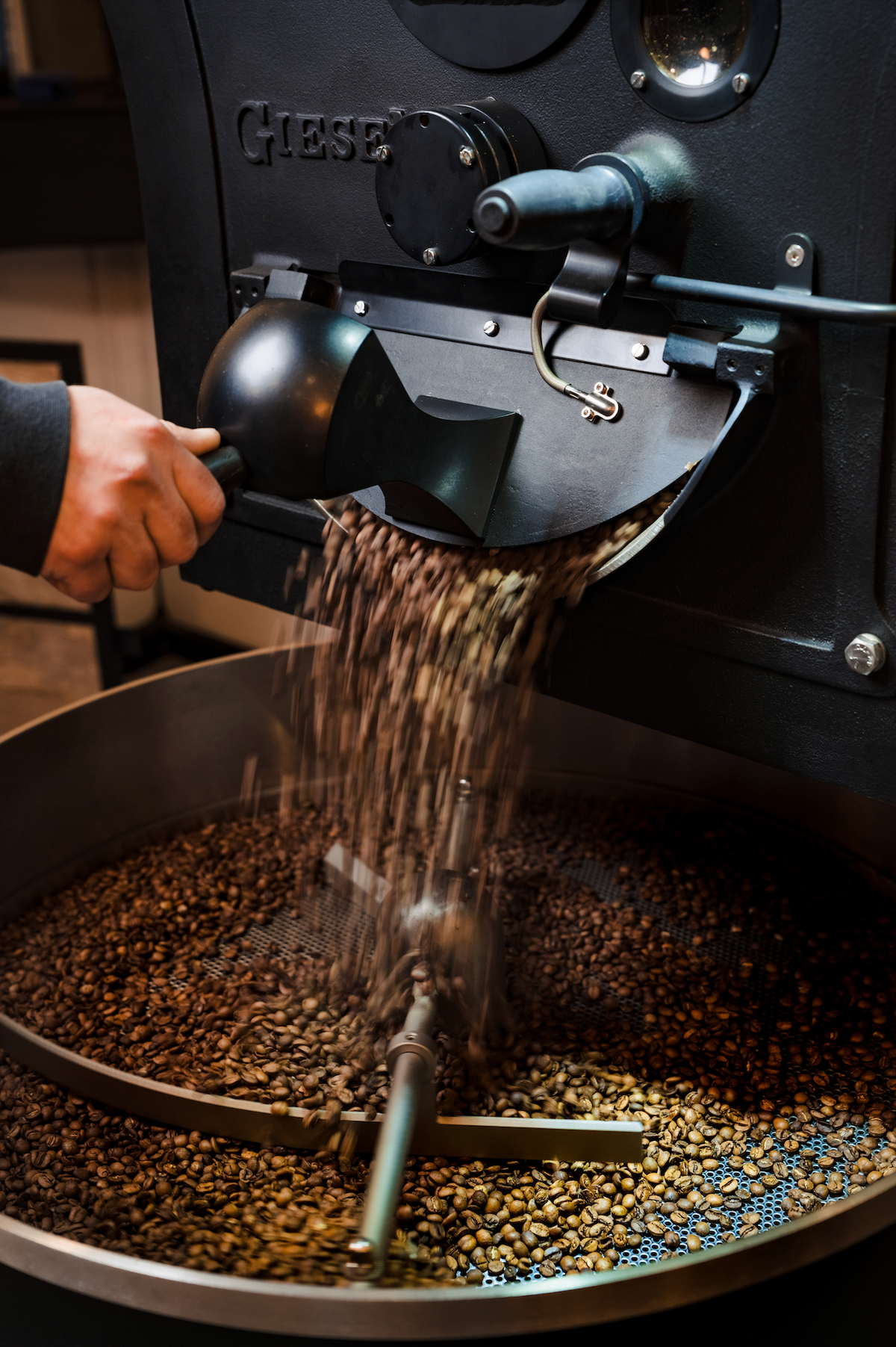 Freshly roasted beans pouring from the roaster at Waresley Park